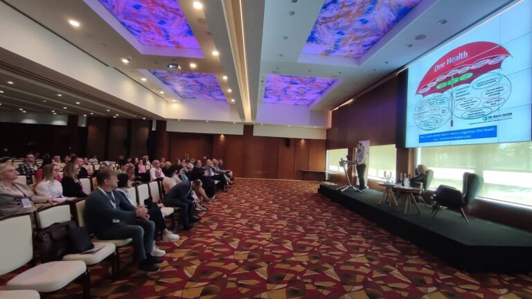 IMG-d4dc93d515964e10215cd85e8b317858-V